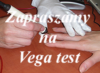 Vega-Test Warszawa